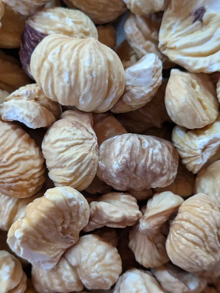 Castagne secche